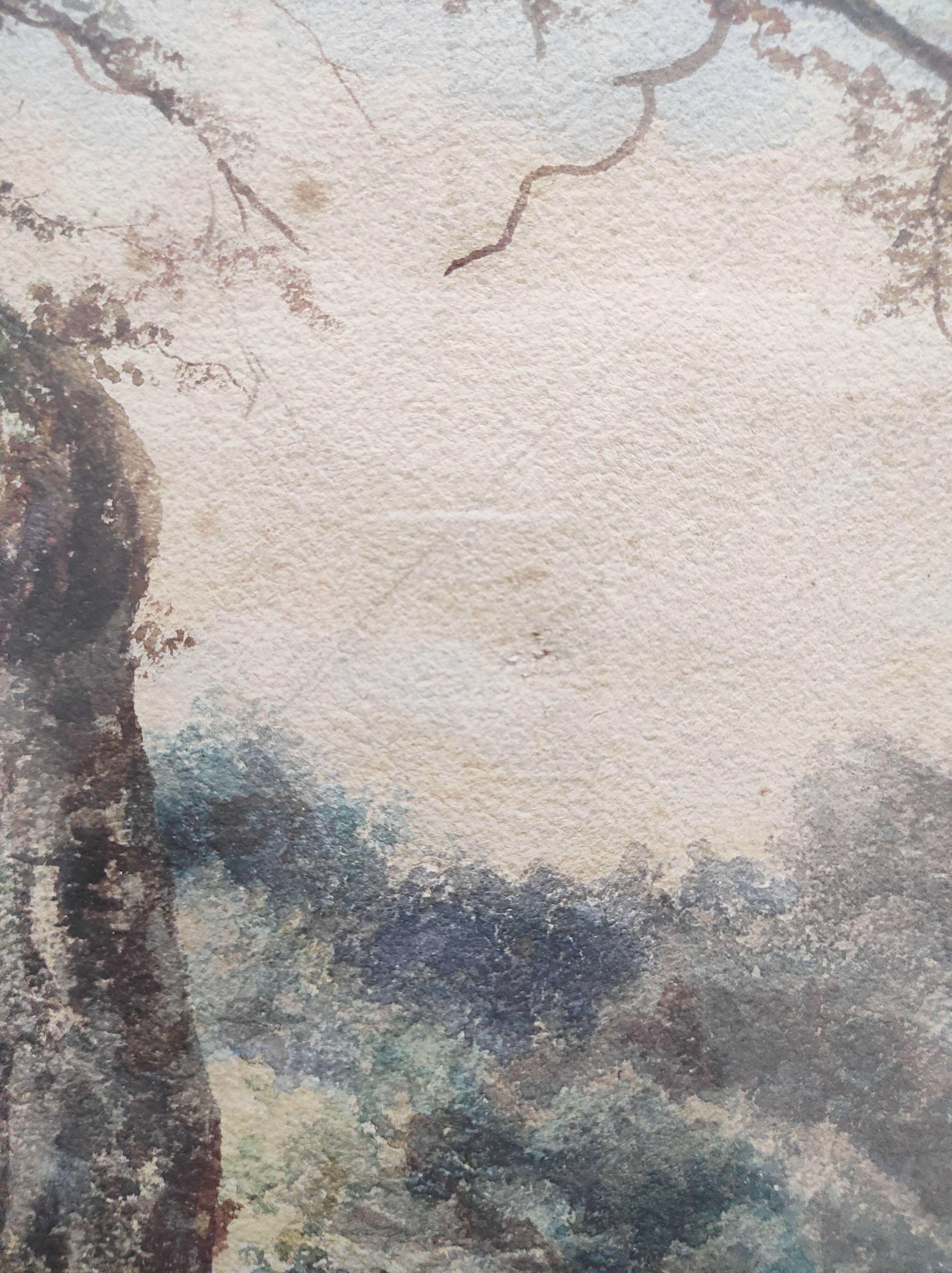 View of a Lake, 19th Century Framed Watercolor