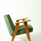 Fauteuil Vintage 366 de J. Chierowski Fauteuil Bois Clair Herbe Verte Scandinave