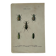 Botanical print engraving butterfly naturalist 19th century double-sided