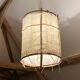 Bamboo suspension