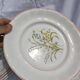 6 deep plates – Capôa earthenware – vintage Portuguese
