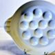 White Reussy porcelain snail dish in very good condition.