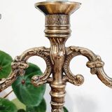 Chandeliers in golden regulated angels