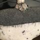 Enamelled ceramic bottle signed