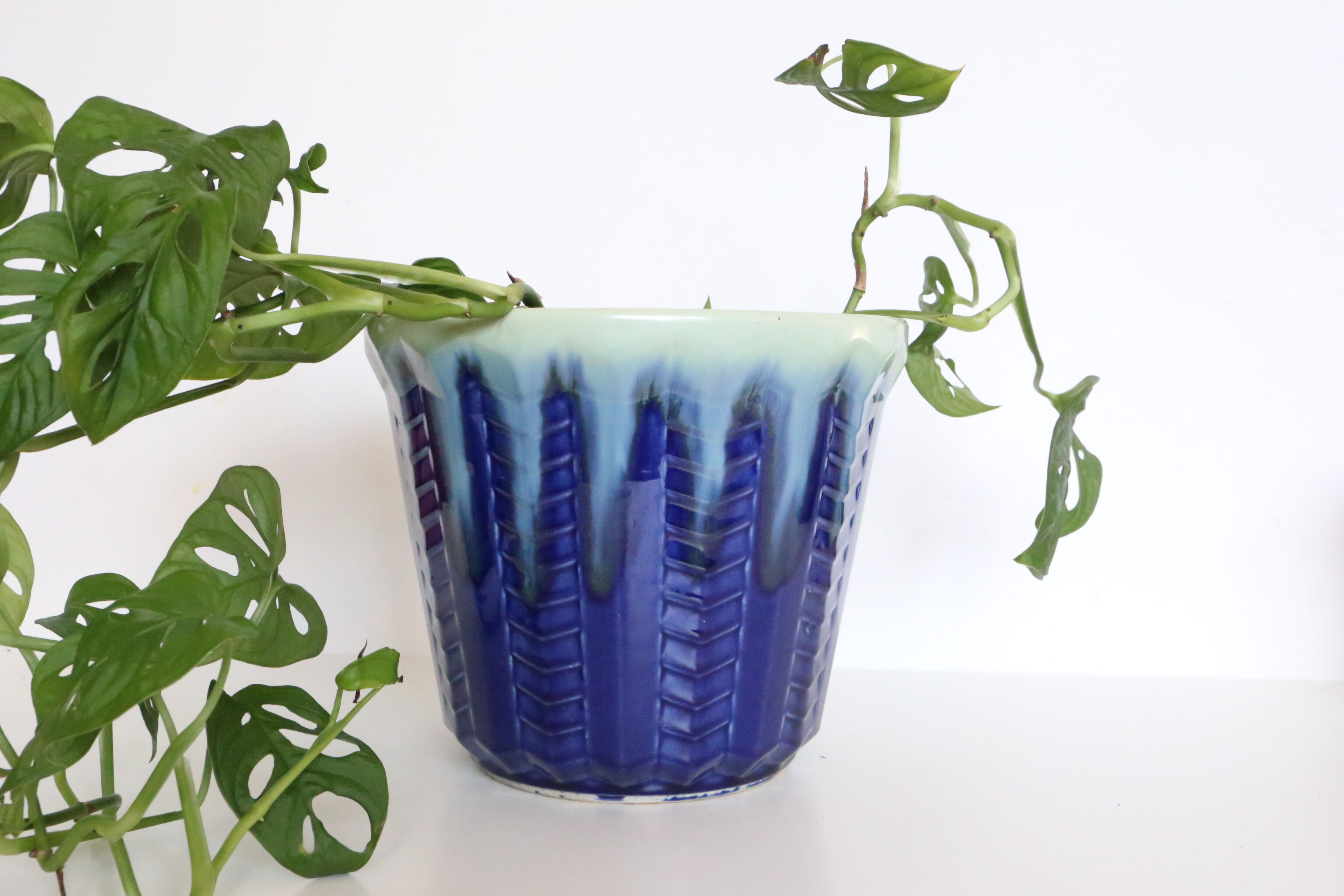 Pot cover De Bruyn, Lille, France, ancient ceramics