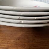 Hollow plates Digoin model Mauritius