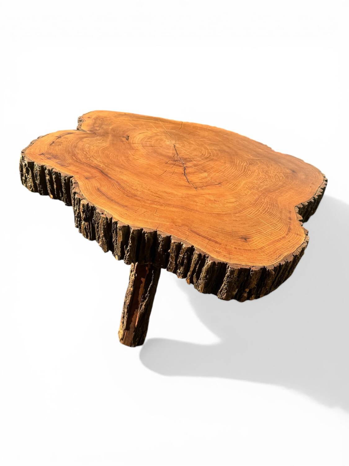 Large brutalist coffee table made from a single piece of cedar trunk, 1960.