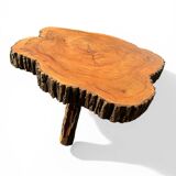 Large brutalist coffee table made from a single piece of cedar trunk, 1960.