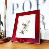 Bird lithograph