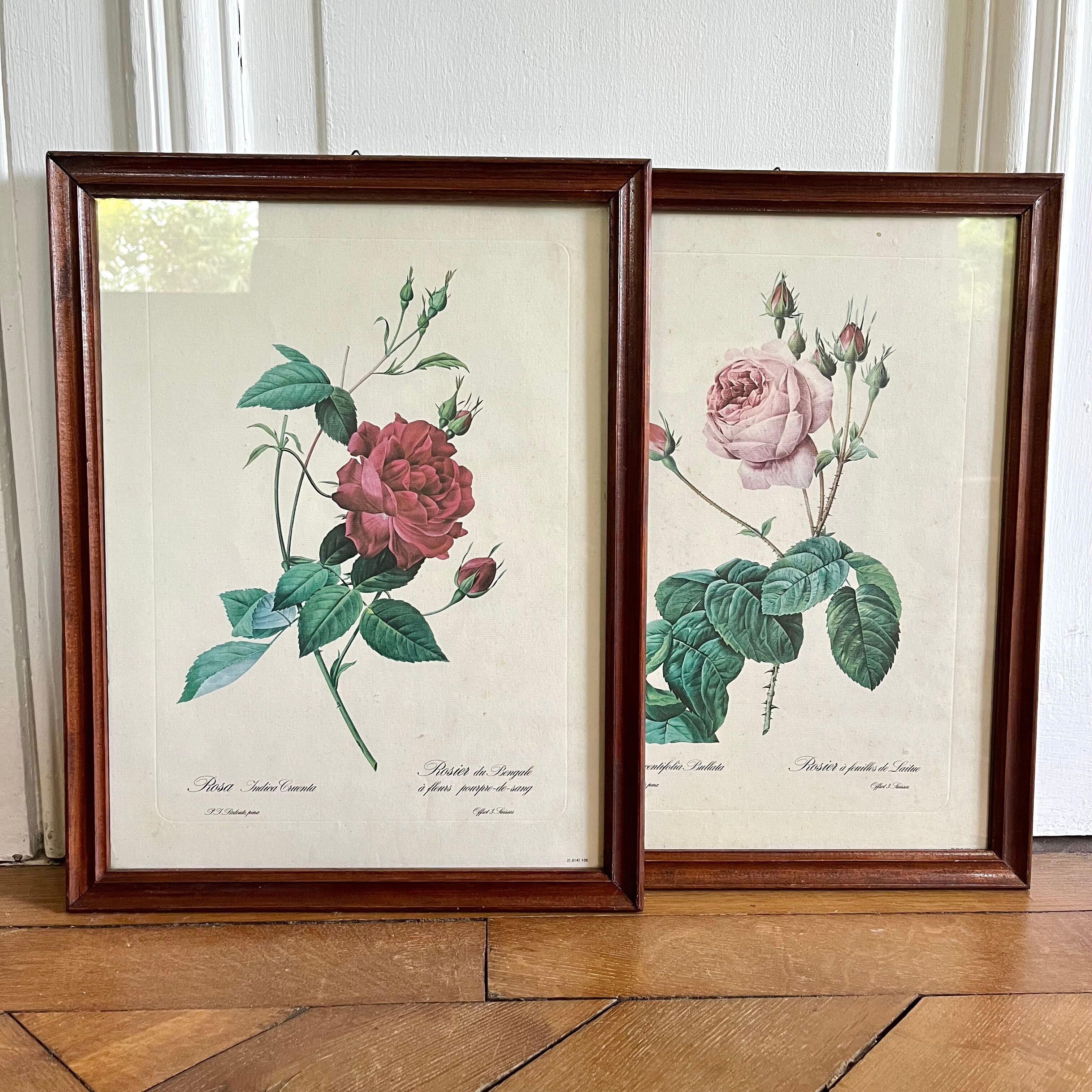 Framed pink botanical posters