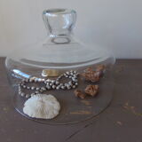 Cloche en verre épais ancienne