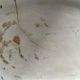 Decorative fish plate signed