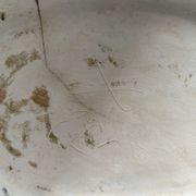 Decorative fish plate signed