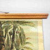 Vintage Poster of Date Palms, Tropics, 1950s