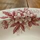 Hollow dish in Iron Earth Saint Amandinoise model Anemone