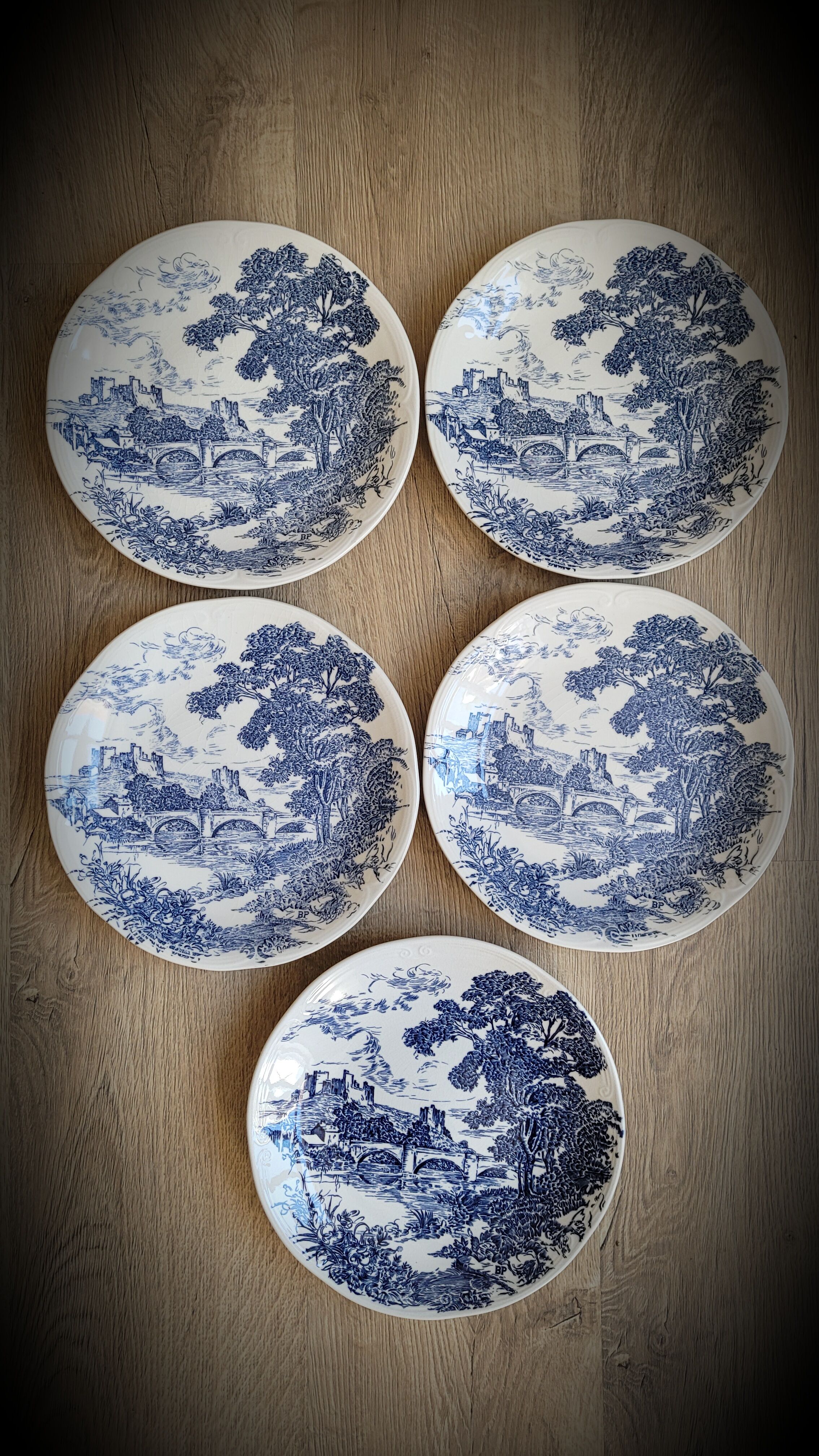 Set 5 flat plates Gien BP