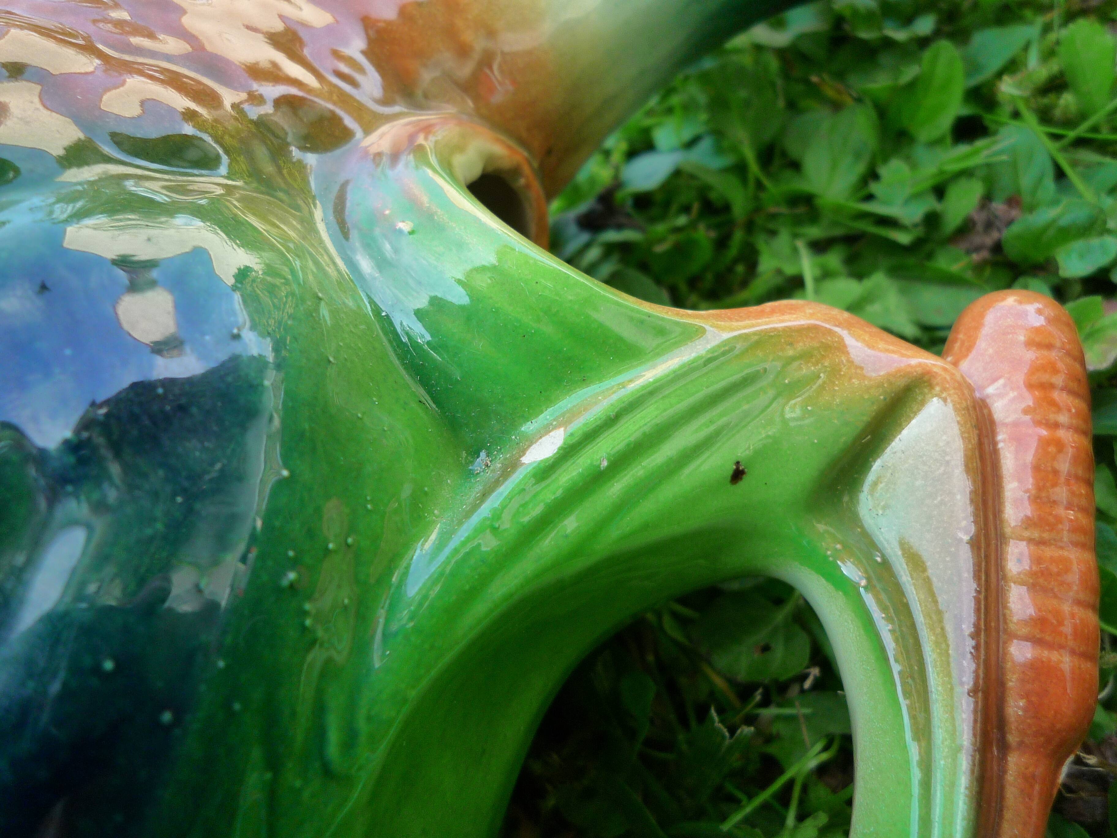 Pitcher duck slurry Saint-Clément