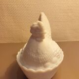 White Opaline Hen