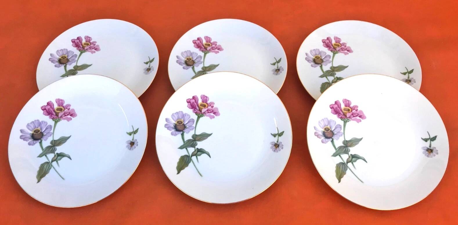 6 flat plates Fine Bohemian porcelain Floral decoration on a white background