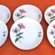 6 flat plates Fine Bohemian porcelain Floral decoration on a white background