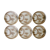 Set of 6 flat plates, fish shape, Sarreguemines France