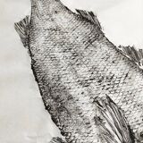 Gyotaku original de bar