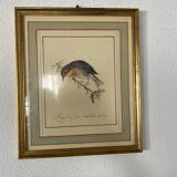 Lithographic frame Nightingale of Japan.