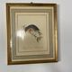 Lithographic frame Nightingale of Japan.