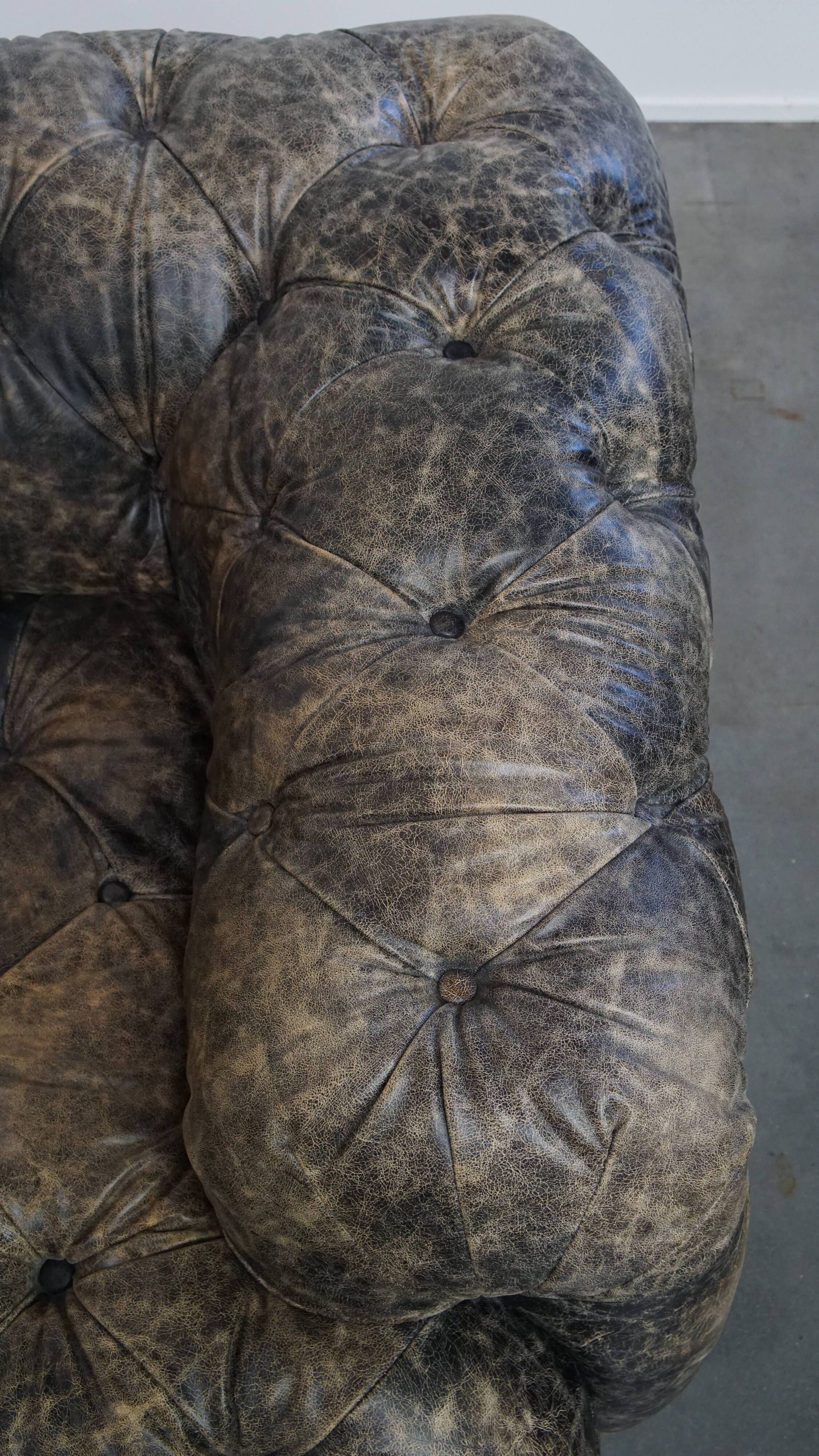 Chesterfield cowhide sofa
