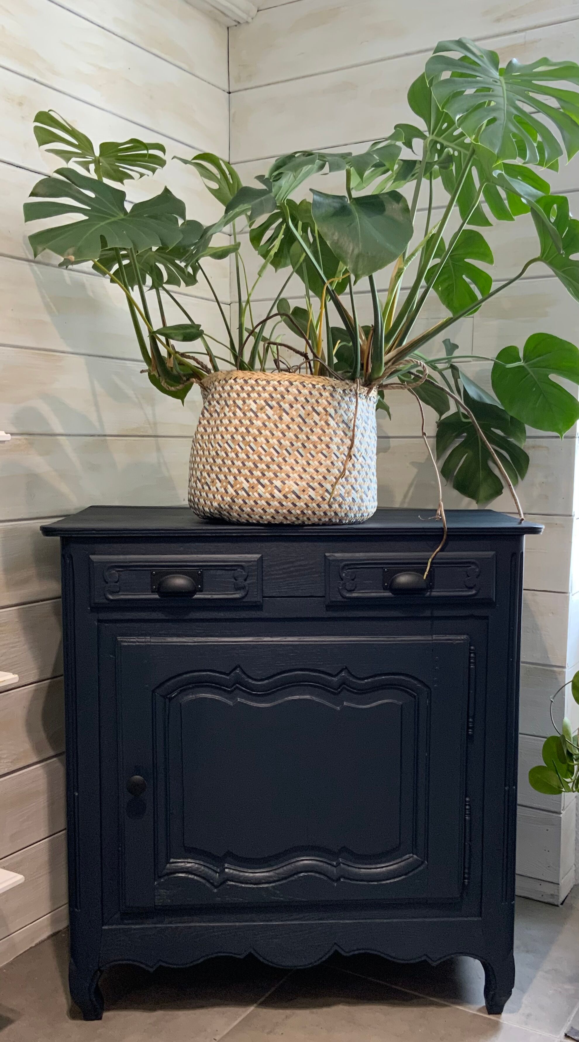 Confectioner black oak