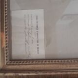 Series of 4 herbariums at the beginning of the century