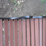 Victorian cast garden bench