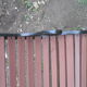 Victorian cast garden bench