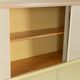 1950s Kitchen Cabinet