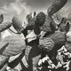 Old black and white silver photography early twentieth century