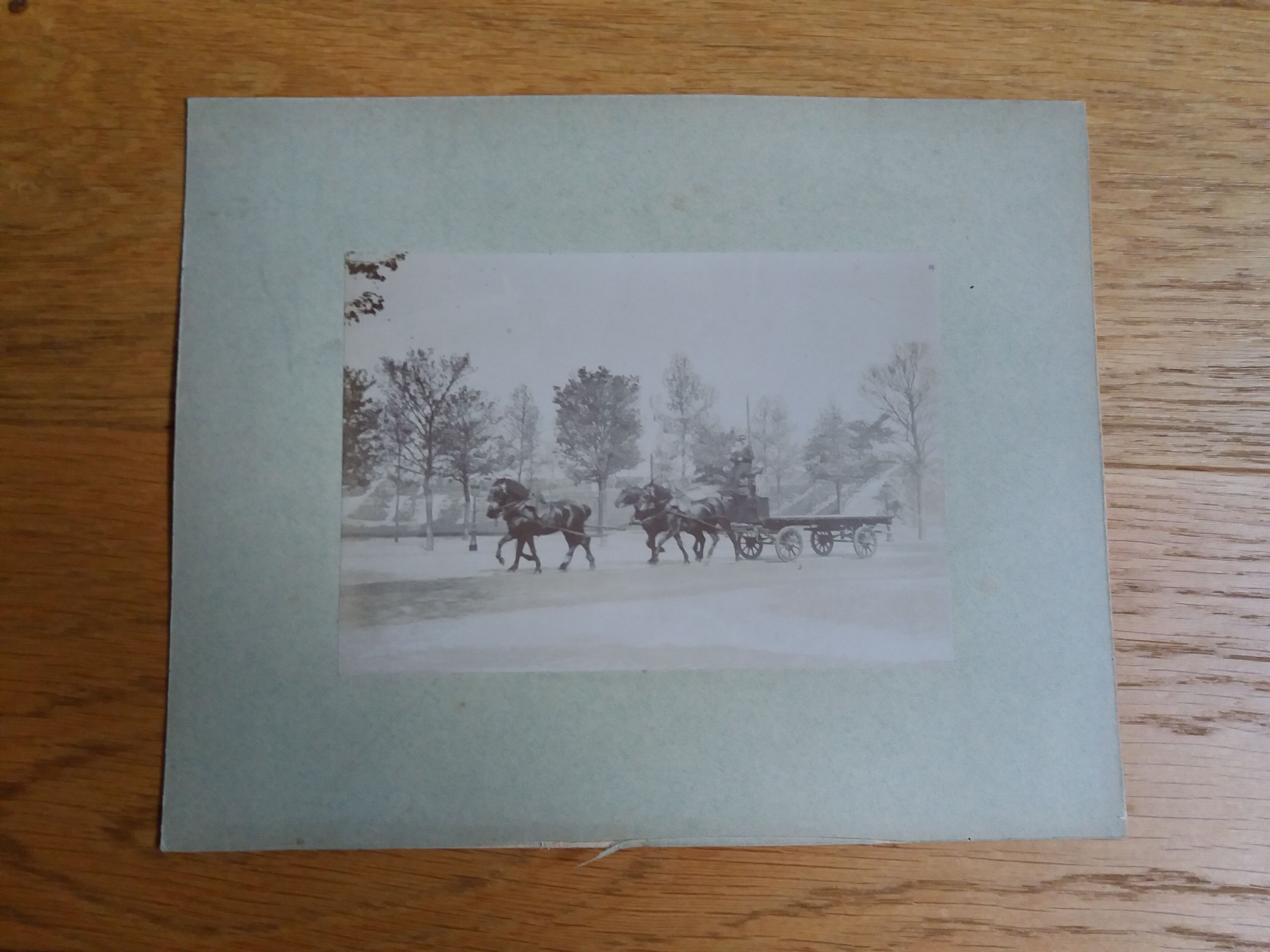 Old photograph 1900 cart, coachman and horses
