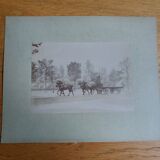Old photograph 1900 cart, coachman and horses