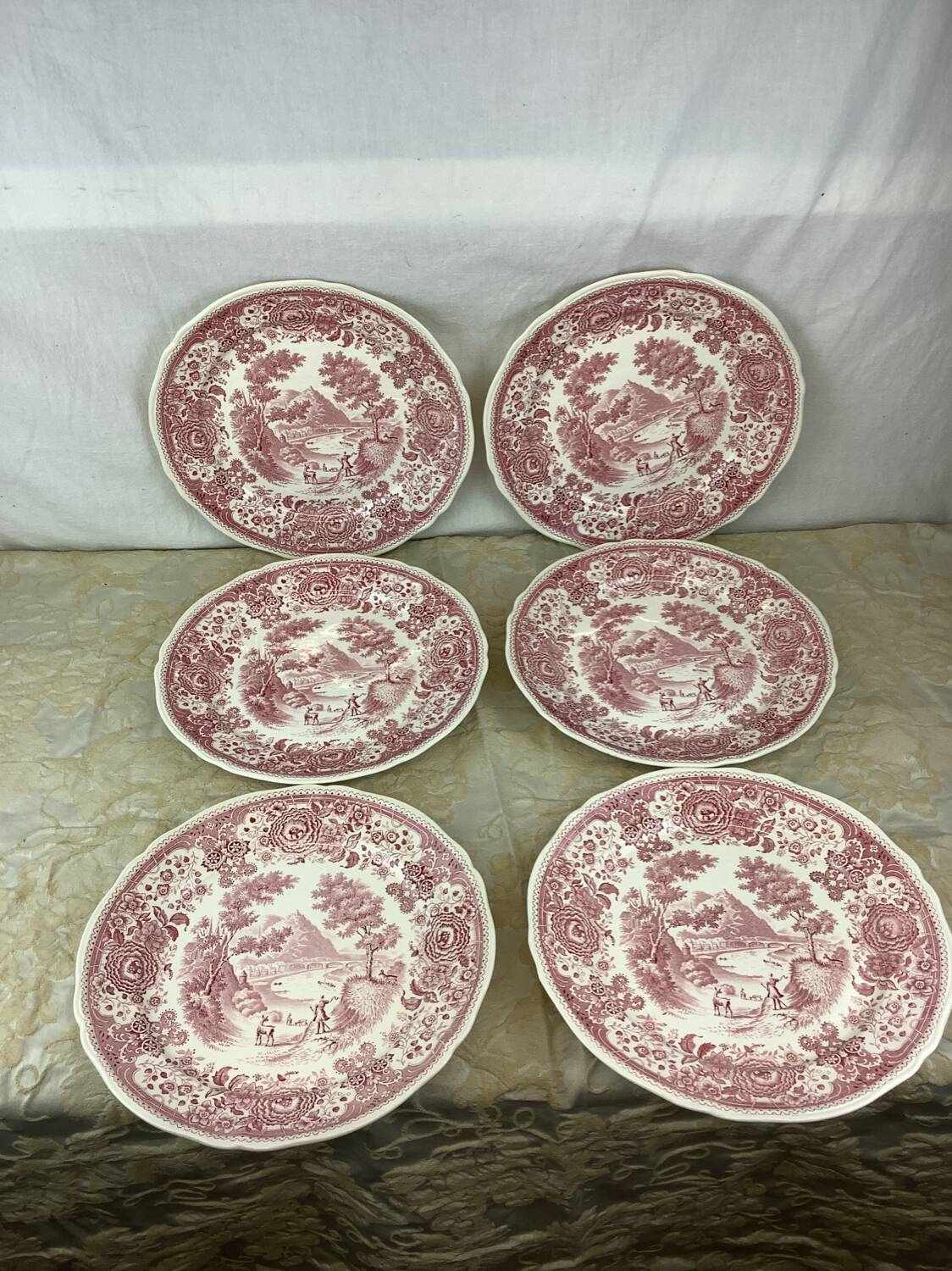 6 Villeroy and Boch Dinner Plates