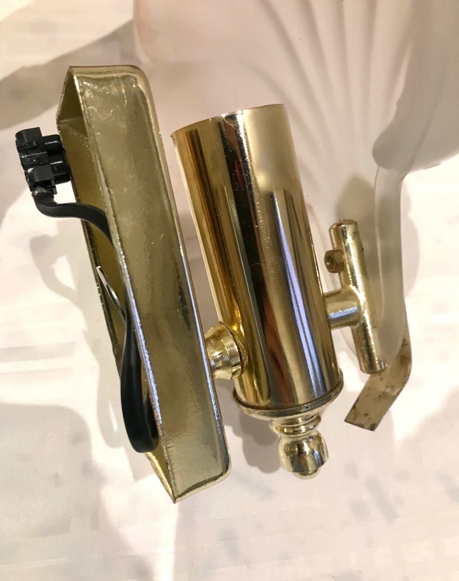 Pair of shell sconces