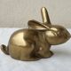 Lapin laiton