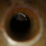 Lot of winemaking and sandstone oil