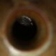 Lot of winemaking and sandstone oil