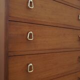 Mahogany chest of drawers, Danish design, 1970s, production: Denmark