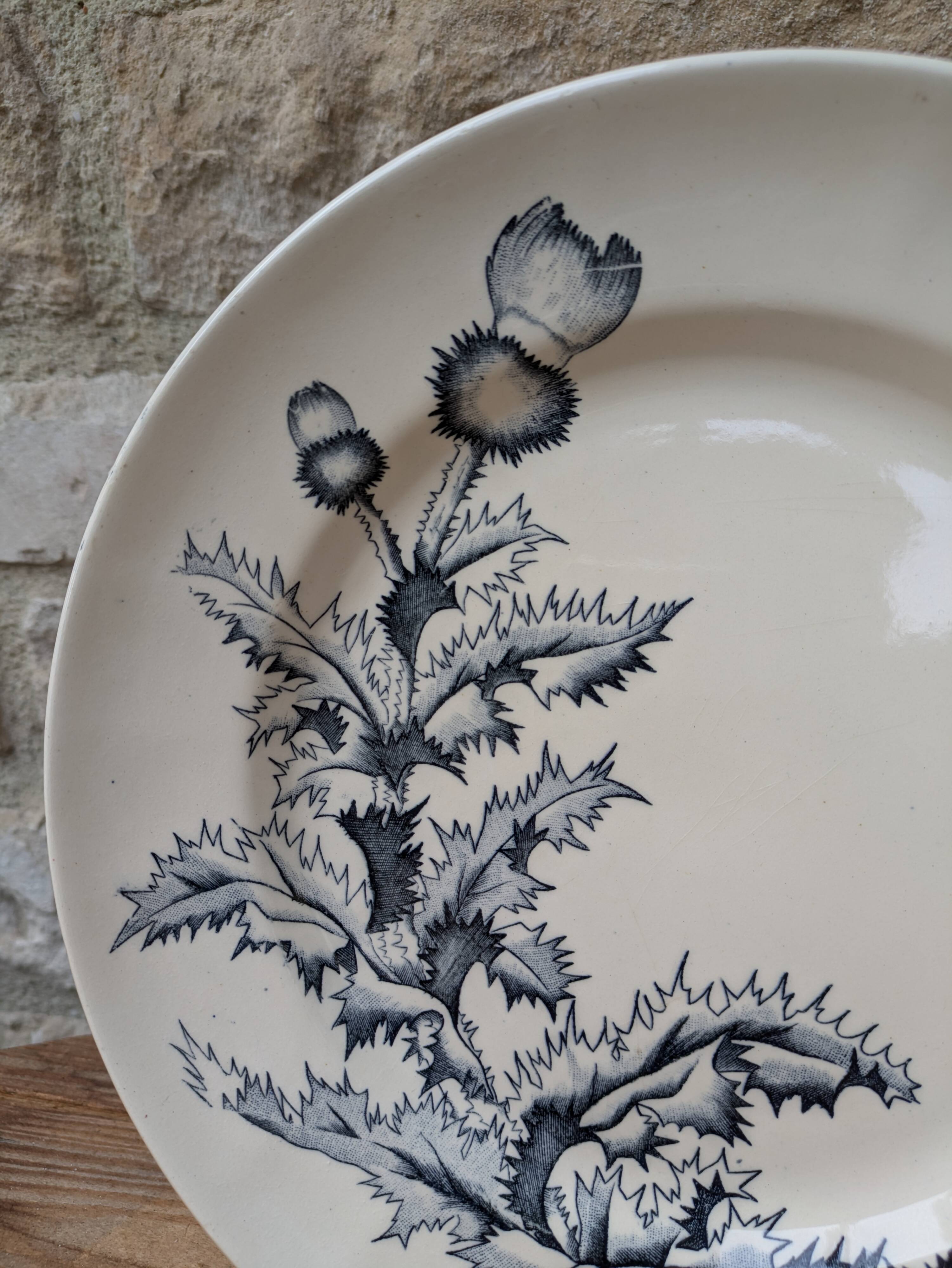 Old Lonchamp ceramic plate, Chardon Terre de fer model