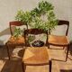 3 Niels Otto Moller chairs in teak and straw 60s