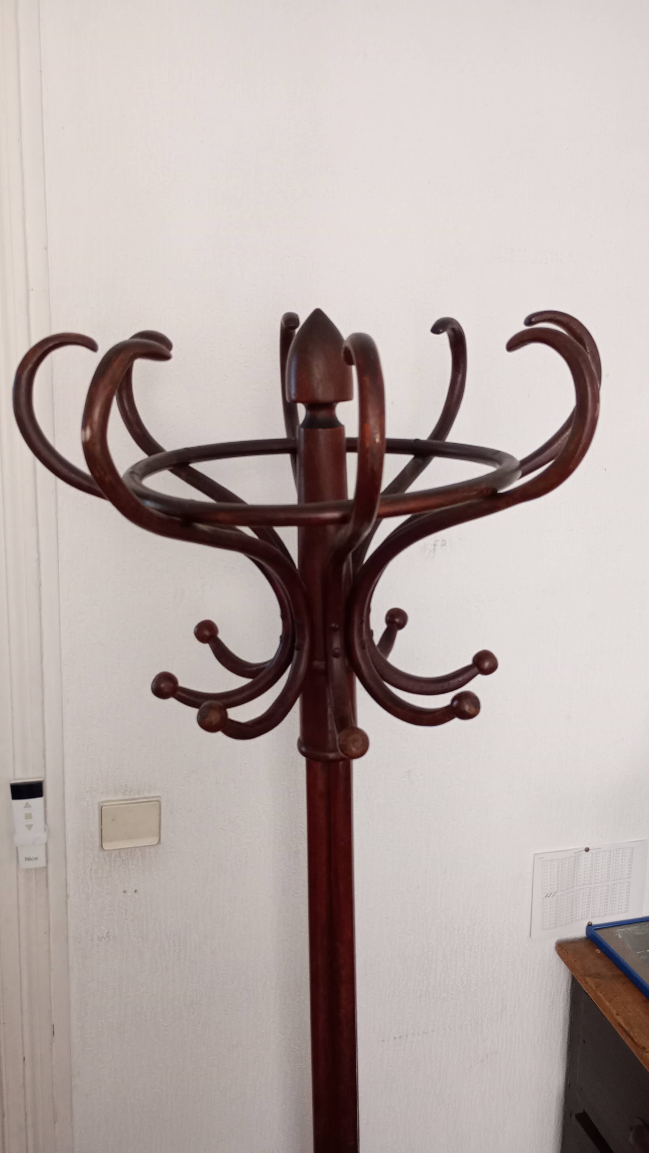 Old parrot coat rack