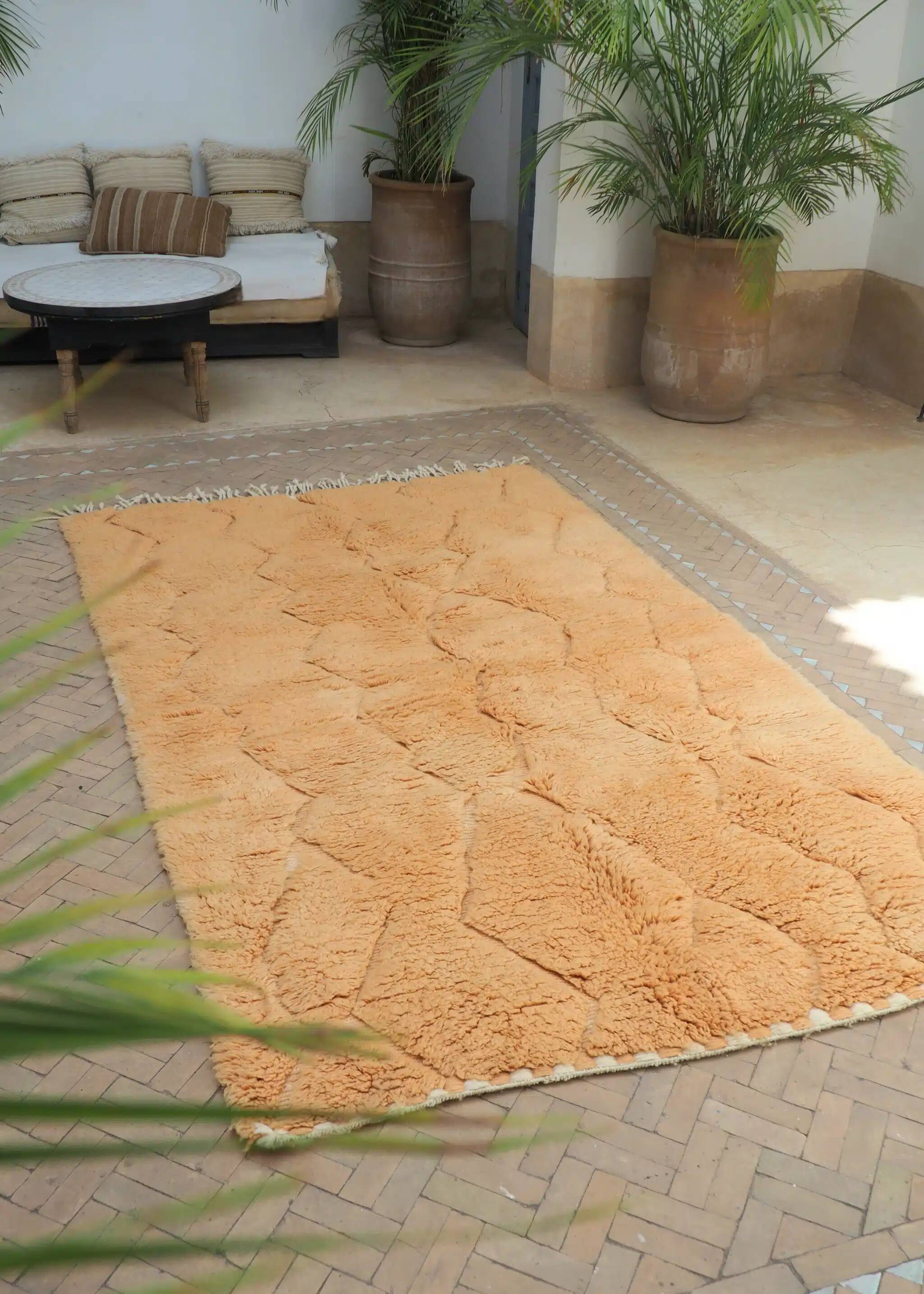 Tapis mrirt 250cmx150cm