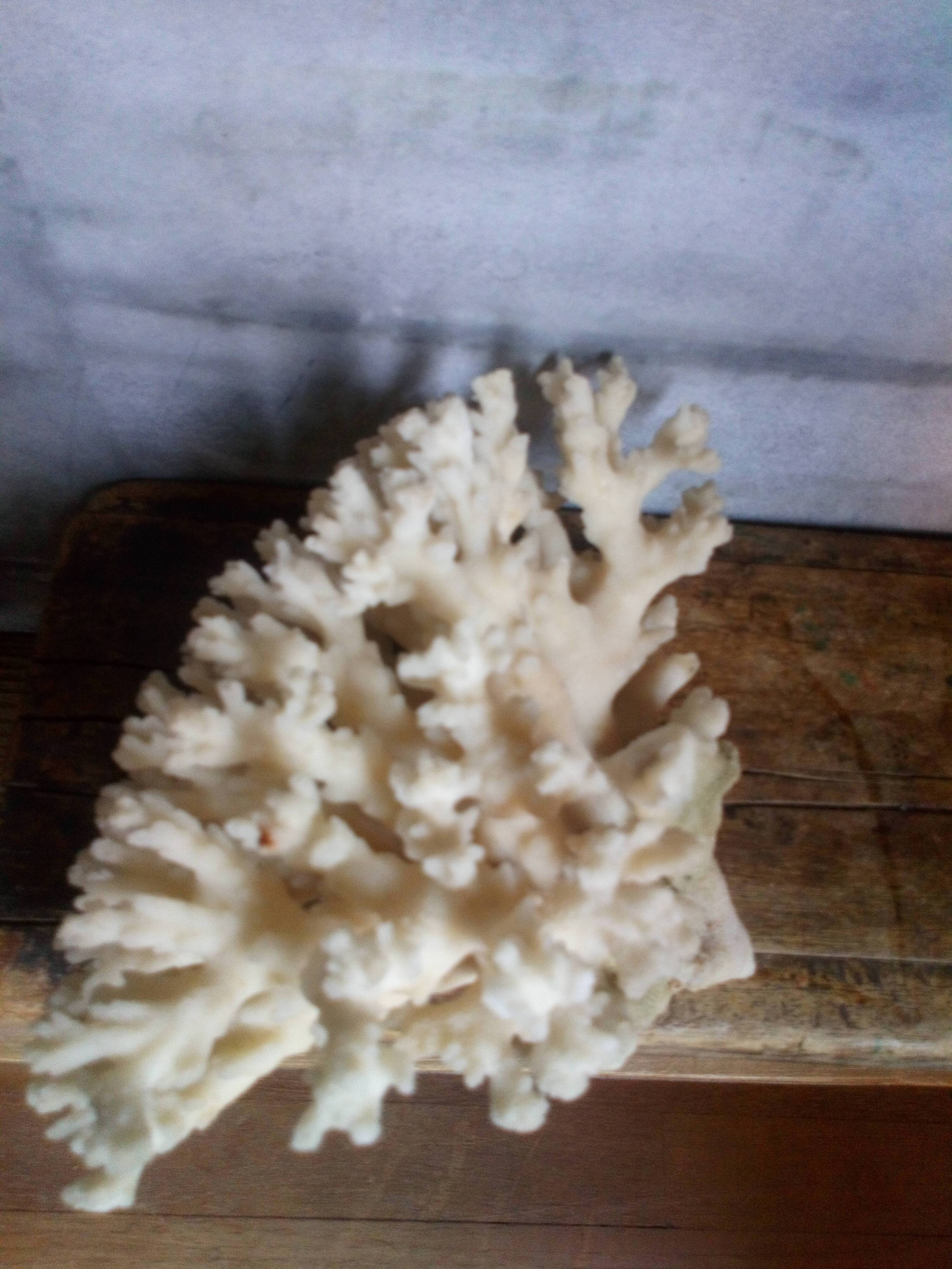Ancient white coral bouquet