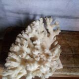 Ancient white coral bouquet