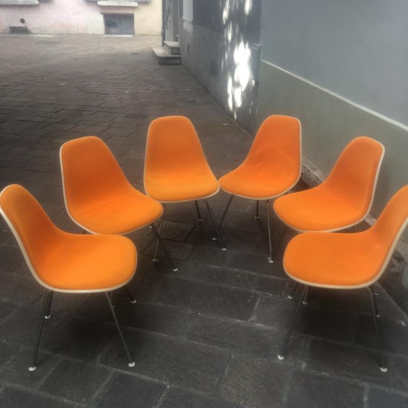 Suite of 6 chairs Dsx Charles and Ray Eames edition Herman Miller 1960